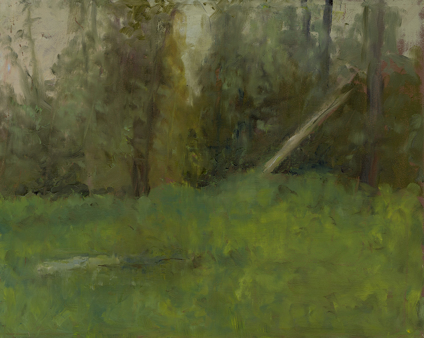 Forest in Mt. Adams | Original Oil Painting