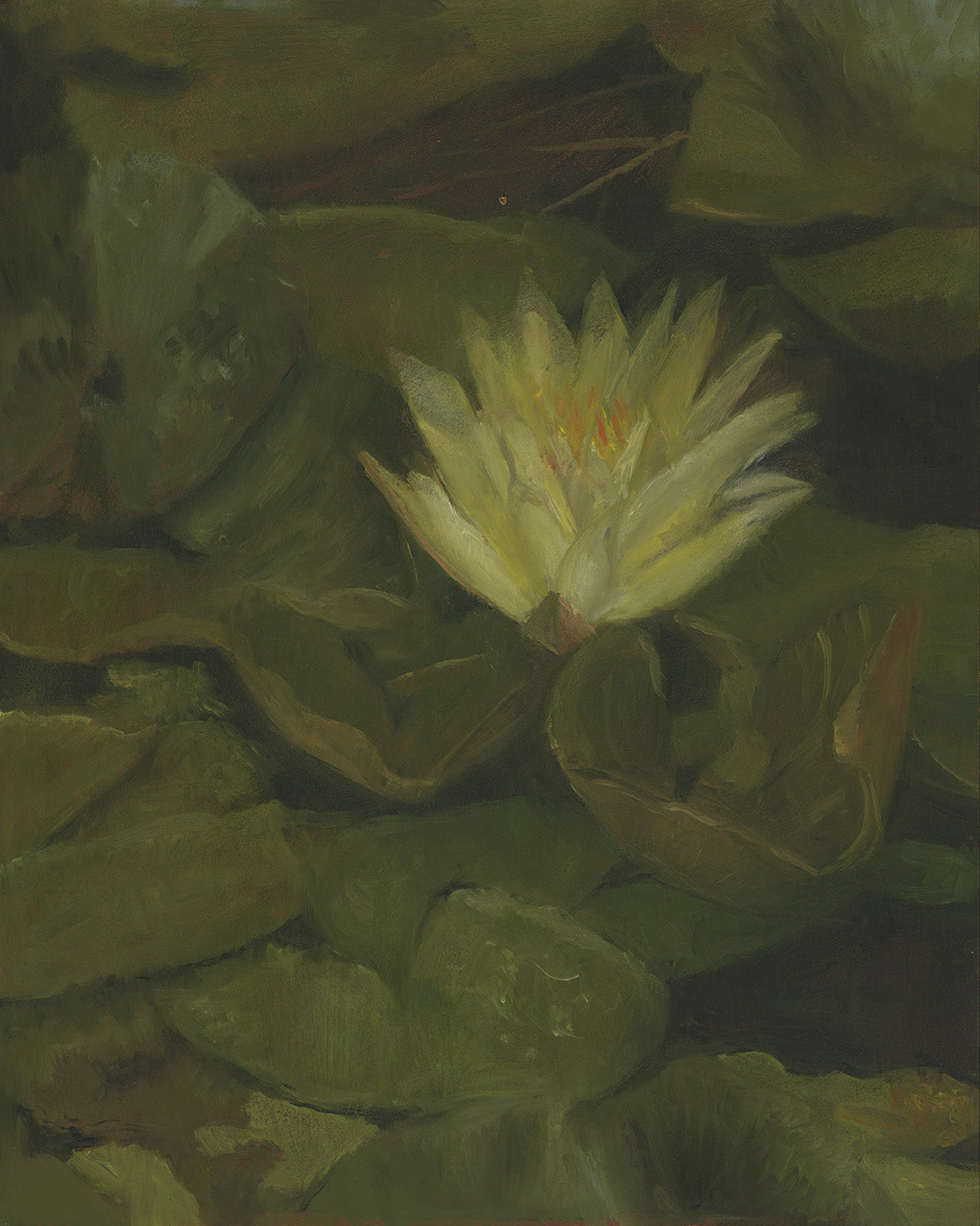 Water Lilies V | Original Oil Painting