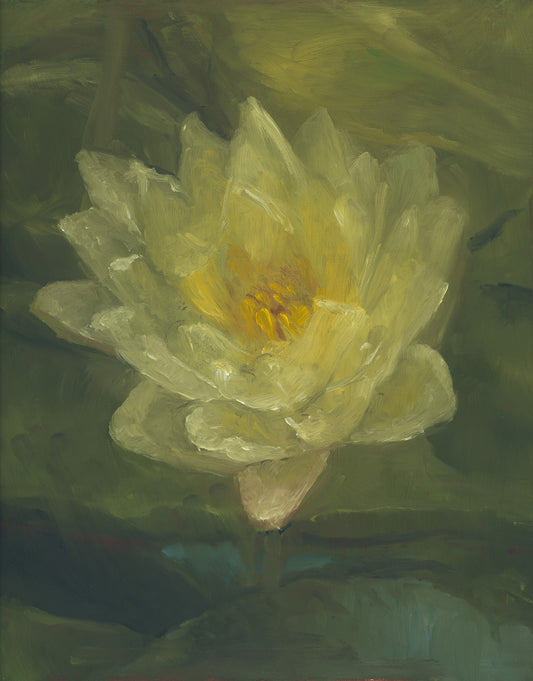 Water Lilies IV | Original Oil Painting
